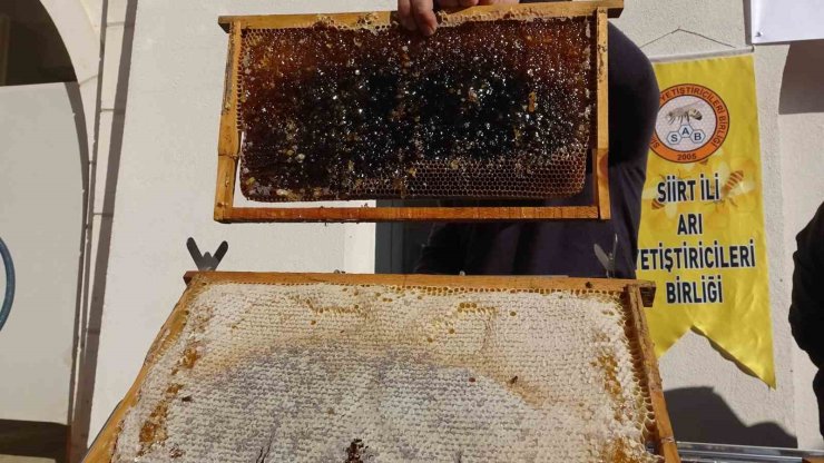 Siirt’te arıcılara 41 milyon 436 bin liralık destek