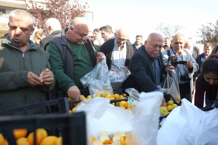 Mandalinanın fiyatı 2 TL’ye düşünce tonlarca ürünü vatandaşlara ücretsiz dağıttılar