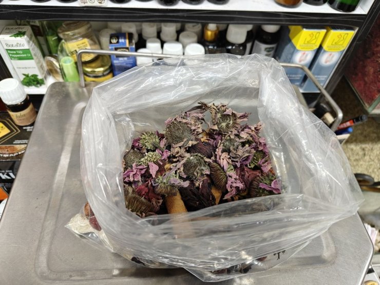 Geçmeyen öksürüğe ‘bitkisel’ karışım