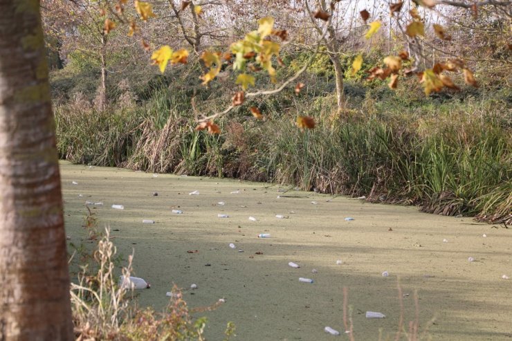 Su kanalı adeta çöplüğe döndü: Vatandaş Karasu Belediyesi’ni göreve çağırdı
