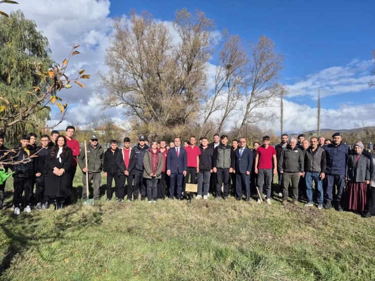 Bilecik’te Merve öğretmen anısına 72 fidan dikildi