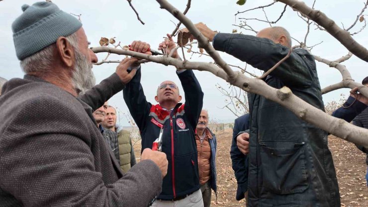 Siirt’te fıstık üreticilerine teorik ve pratik ‘budama’ ile ‘gübreleme’ eğitimi