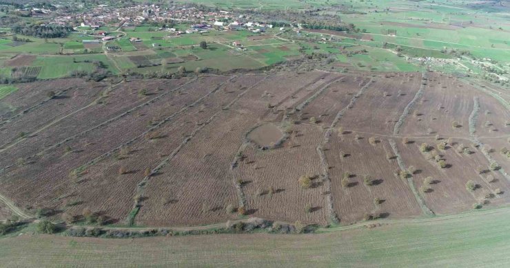 Biga’da proje çerçevesinde 2 yılda 845 dekar mera alanı ıslah edildi