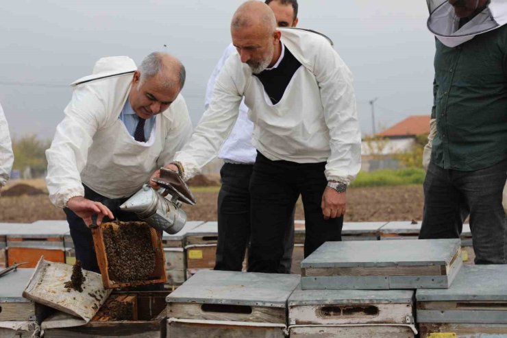 Elazığ arı kovanları incelendi