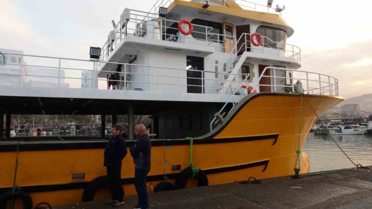 Karadeniz’den bu sezon adeta hamsi fışkırıyor