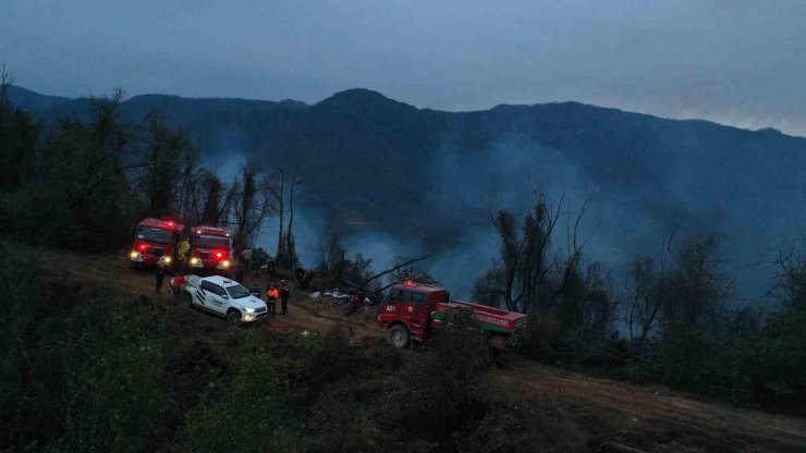 Hopa’daki orman yangını söndürüldü, soğutma çalışmaları sürüyor