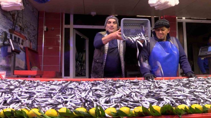 Bolu’da hamsinin kilosu 150 liraya düştü