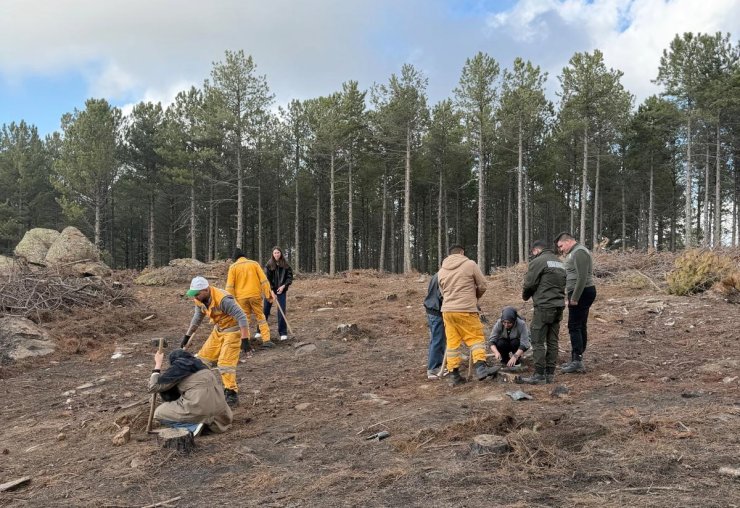 Kırşehir’den gelen üniversite öğrencileri Çine’de fidan dikti