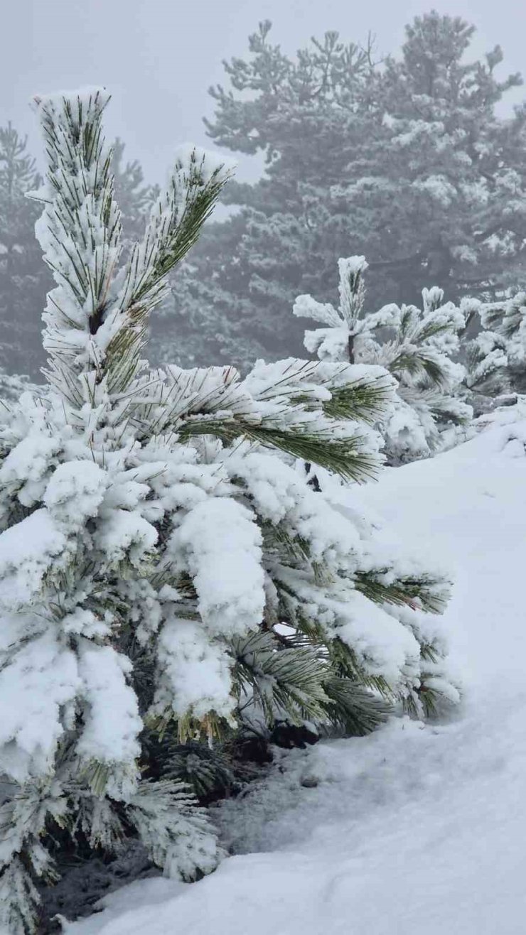 Muğla’ya mevsimin ilk karı yağdı