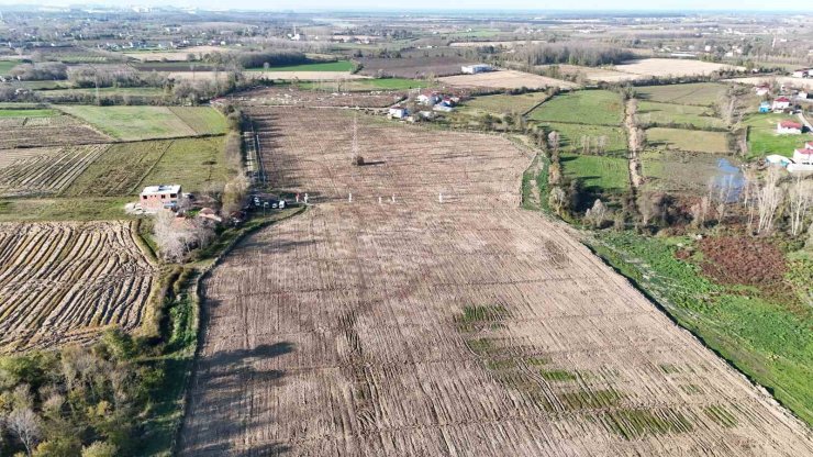 Karadeniz’in en büyük incir projesi: 50 milyon TL gelir kız çocuklarına verilecek