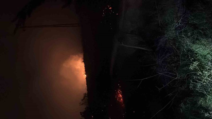 Hatay’da çıkan otluk yangını söndürüldü