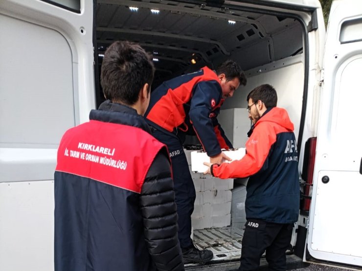 Küçük boyda avlanan 307 kasa istavrite el konuldu