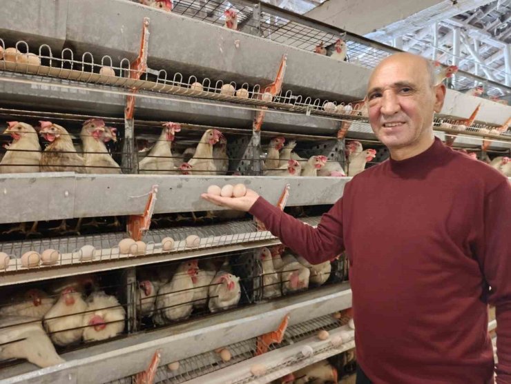 Simav’ın Kuşu beldesinde günlük 15 bin yumurta üretimi