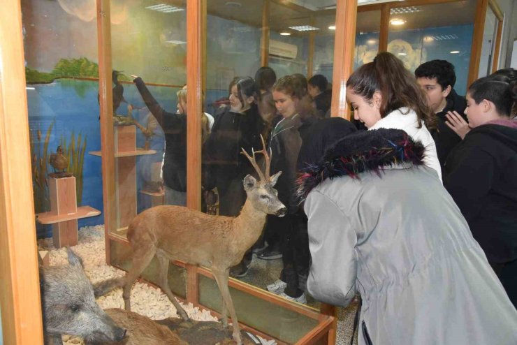 Öğrenciler hayvan müzesini ilgi ile gezdi