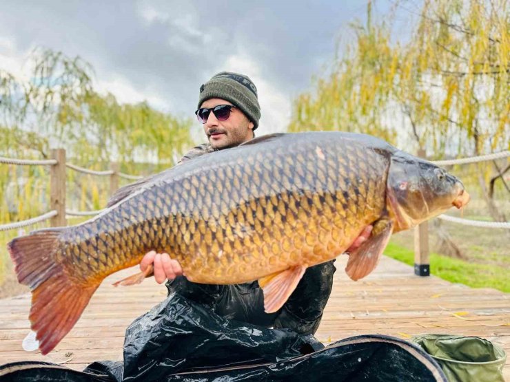 Yakaladıkları dev gibi sazan balığını suya geri bıraktılar