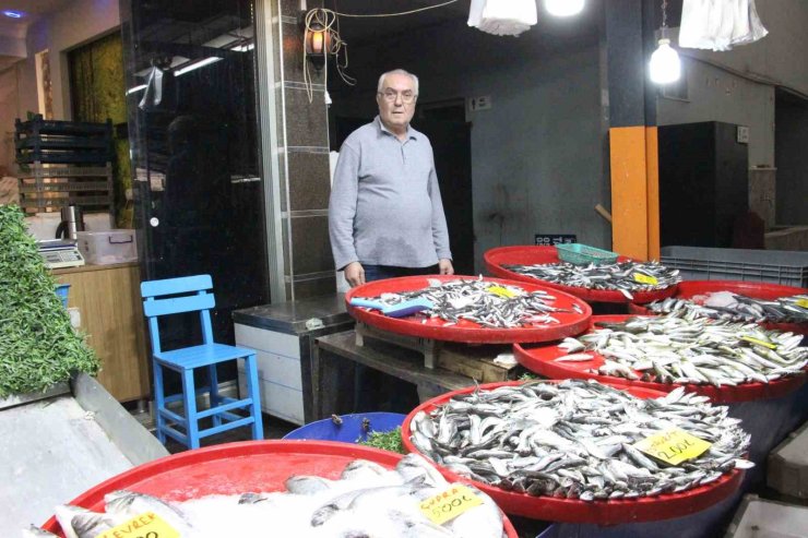 Bozdoğan’da balık tezgahlarının en çok tercih edilen çeşidi hamsi oldu