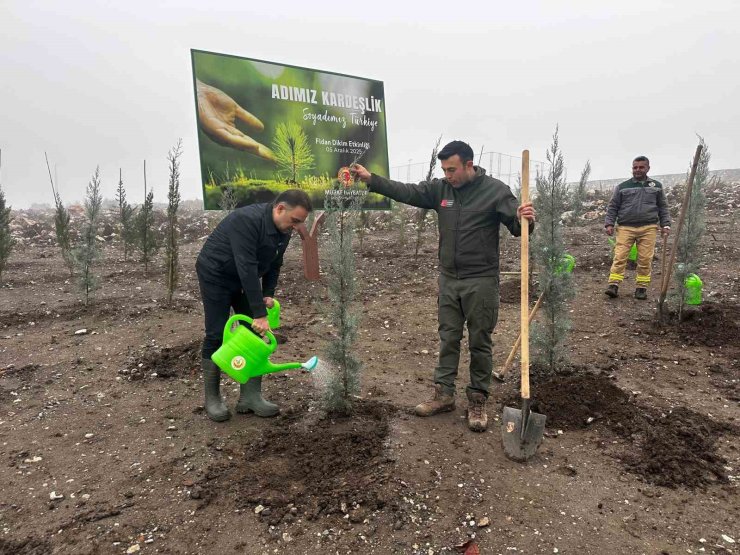 Baybatur’dan yanan orman alanlarına bin fidan