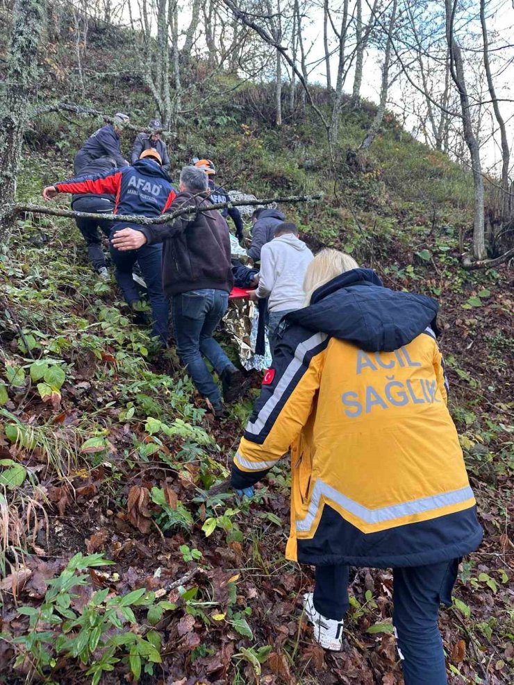 Otomobil ormanlık alana uçtu, 2 yaralı