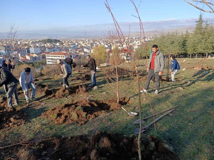 Sandıklılı yarenler badem fidan dikti
