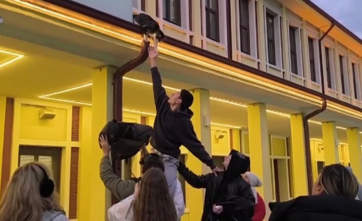 Gençlerin ’başarısız’ kedi kurtarma operasyonu kamerada