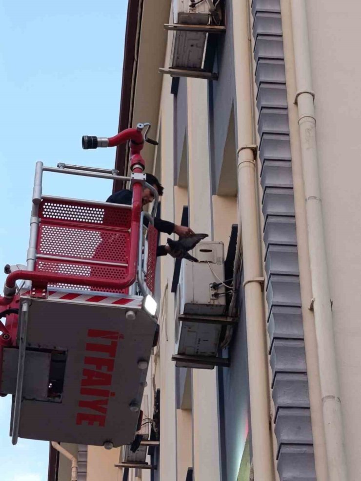 İskenderun’da klima motoruna dolaşan kuş kurtarıldı