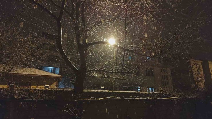 Erciş’te kar yağışı