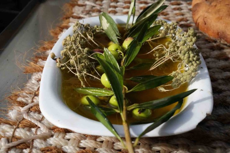 Oleolog Dr. Kıvrak: "Erken ve olgun hasat zeytinyağları farklı içeriklere sahiptir"