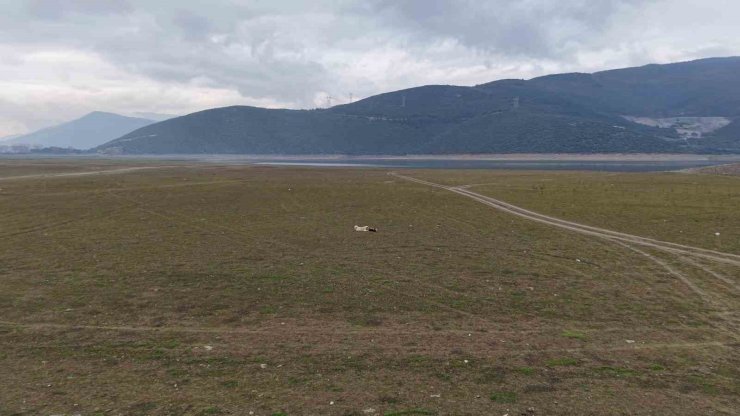 Bursa’da bir göl daha yok oluyor...