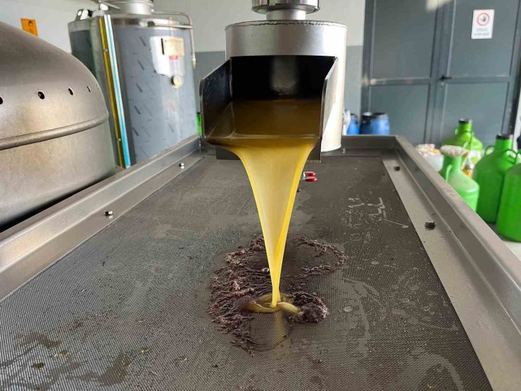 Kara meyve altın sıvıya dönüşüyor