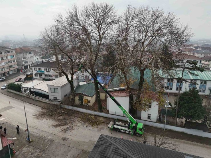 Düzce’de ağaçlara kış bakımı