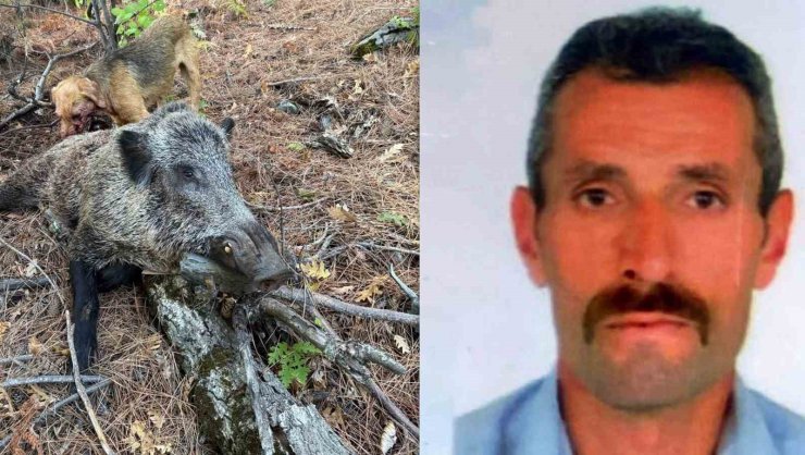 Domuz saldırısı can aldı