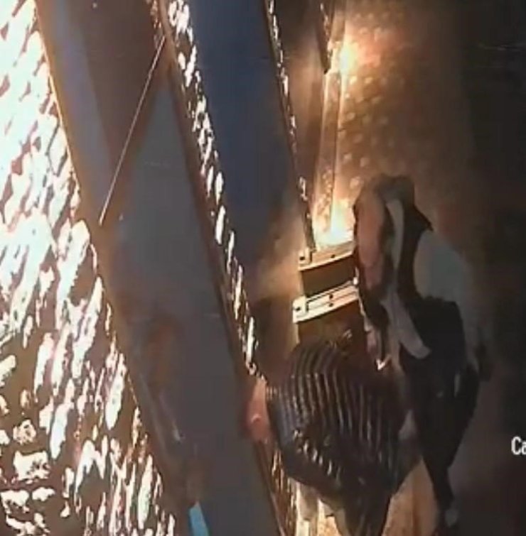 Kayseri’de esnaf boğazına şeker kaçan çocuğu heimlich manevrasıyla kurtardı... O anlar kamerada