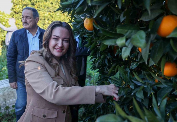 Başkan Vekili Özdemir: "Finike’nin ihtiyaçları doğrultusunda çalışmalarımızı yapıyoruz"