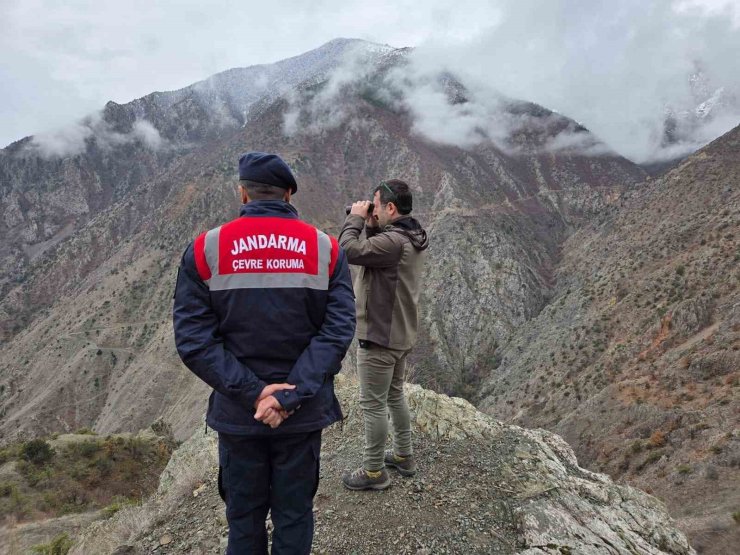 Artvin’de kaçak ve usulsüz avcılığa yönelik denetimler sürüyor