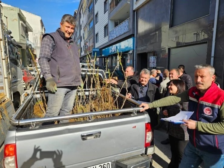 Germencik’te üreticiye 4 bin sertifikalı fidan desteği