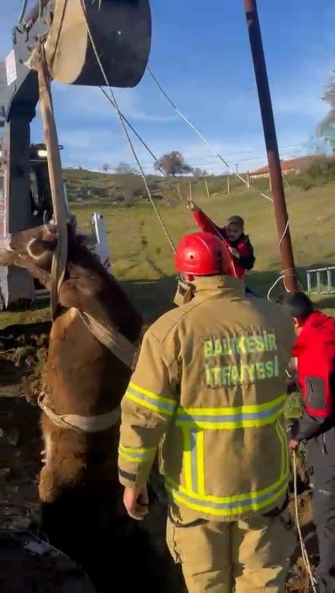 Balıkesir’de kuyuya düşen inek kurtarıldı