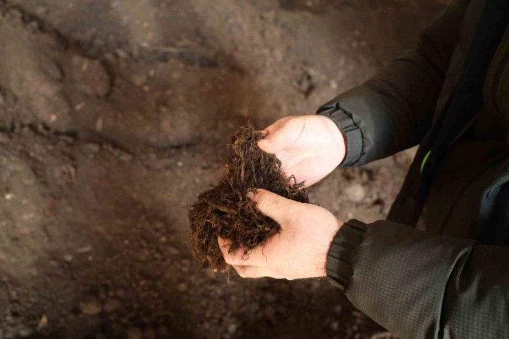 Torf üretimiyle yılda 50 milyon lira tasarruf sağlanıyor