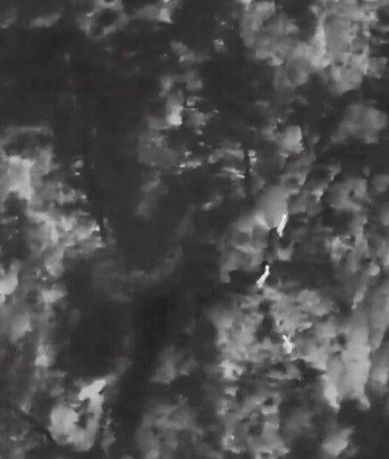 Muğla’da yaban hayatına "dron" kalkanı