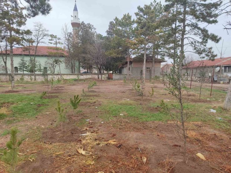 Umraniye köylüleri 300 adet fidanı okul ve camii bahçesine diktiler