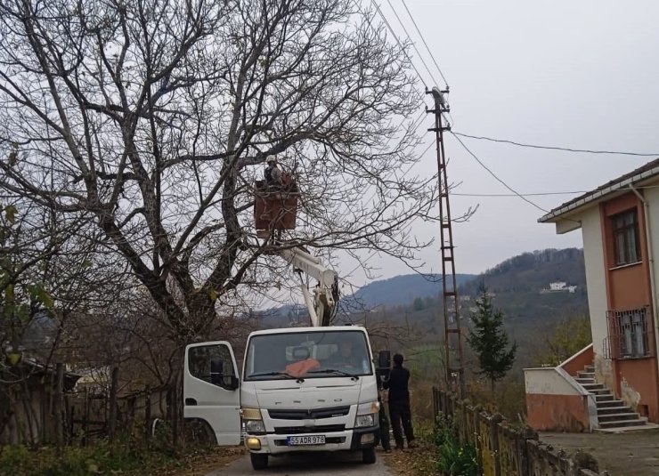 Ordu’da elektrik tellerine temas eden ağaç dalları kesildi