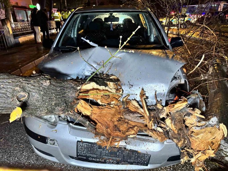 Seyir halindeki otomobilin üzerine ağaç devrildi