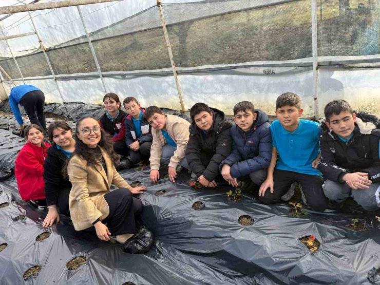 Gördes’te çilekler engelliler için yetişecek