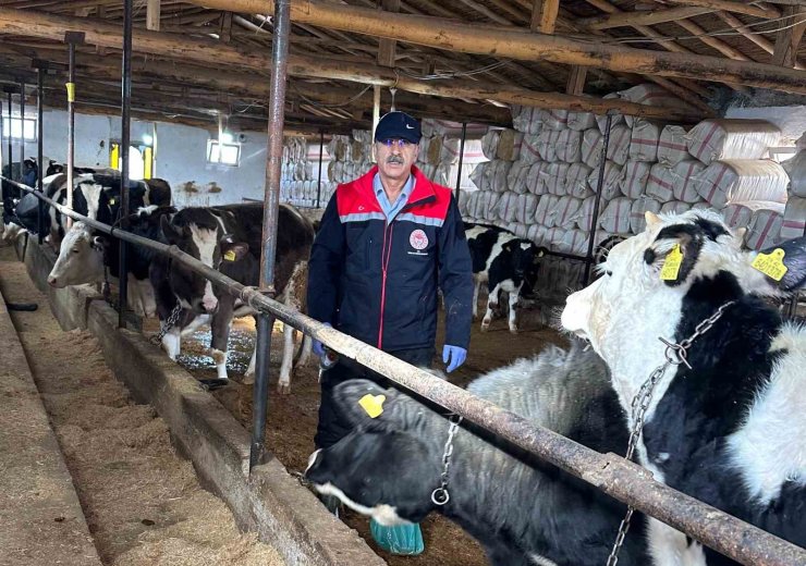 Beyşehir’de hayvancılık faaliyetleri yakın takipte