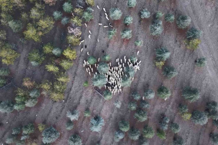 1 milyon 220 bin metrekarelik mera arazisinde "imar planı" iddiası: Müfettişler incelemeye aldı