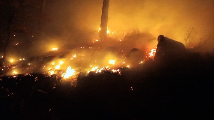 Bozyazı’da çıkan orman yangını kontrol altına alındı