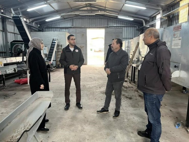 Ceviziyle öne çıkan Gölpazarı’nda üretim zinciri güçleniyor