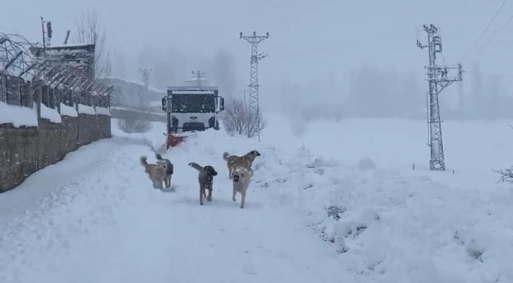 Şırnak’ta kapalı köy yolları dozerlerle açılıyor