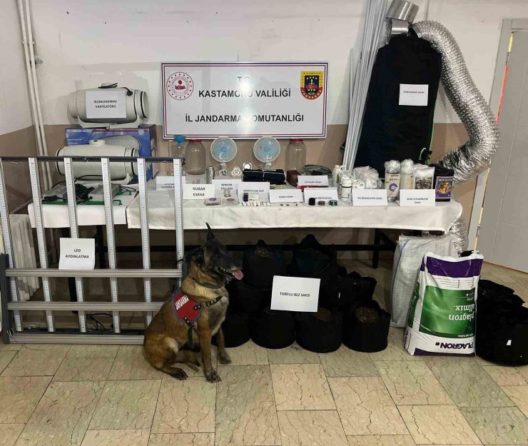 Kastamonu’da uyuşturucu operasyonu: 6 gözaltı