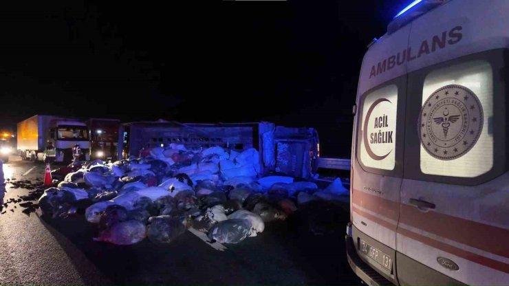 Kuzey Marmara Otoyolu’nda kamyonet devrildi: 2 yaralı