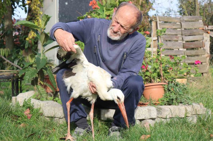 Annesinin yuvadan attığı leyleğe, mahalleli anne ve baba oldu
